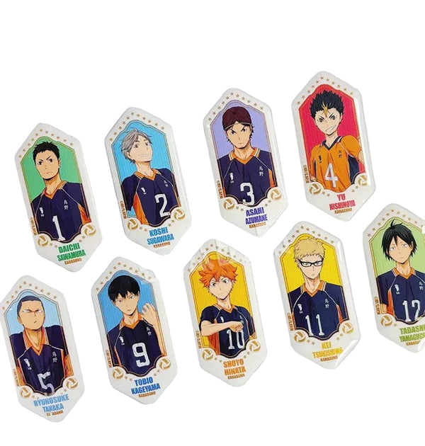 Haikyu!! Karasuno High Series Tinplate Badge Blind Bag