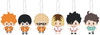 Haikyu!! Mini Plush Pendant Blind Box